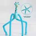 giraffe3.webp